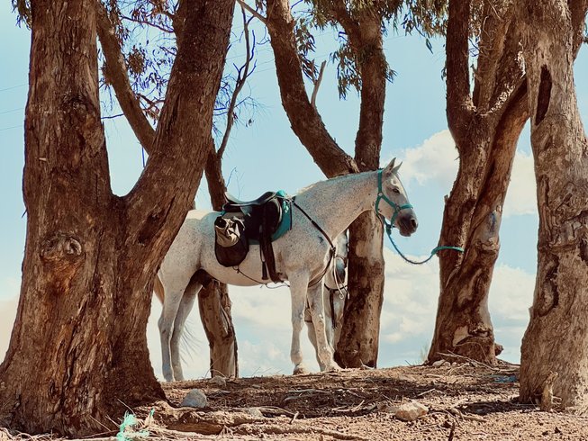 3-Day Touareg Horse Trek – Morocco Adventure | Overnight Stays