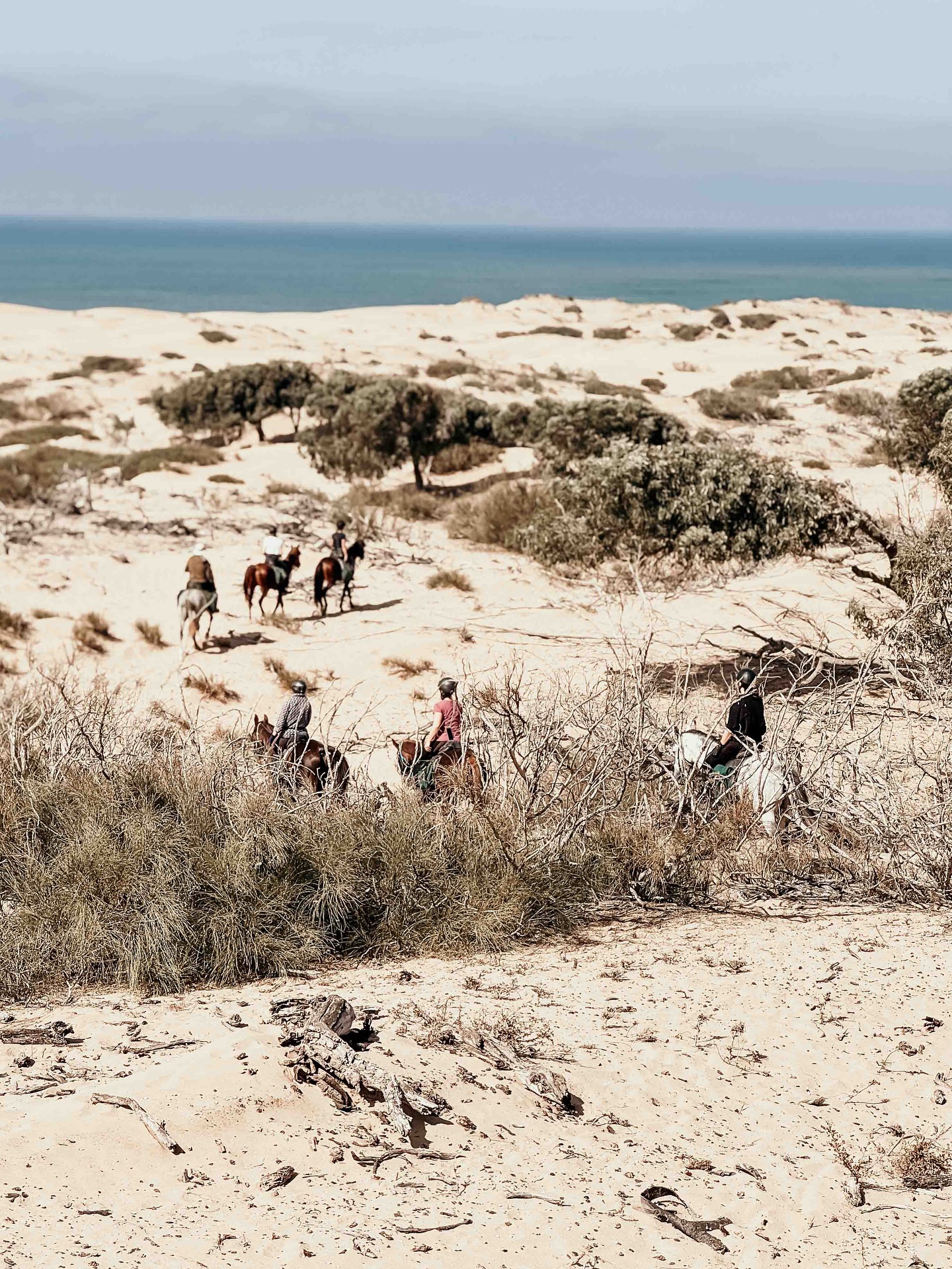 2-Day Touareg Horse Trek – Morocco Adventure | Overnight Stay