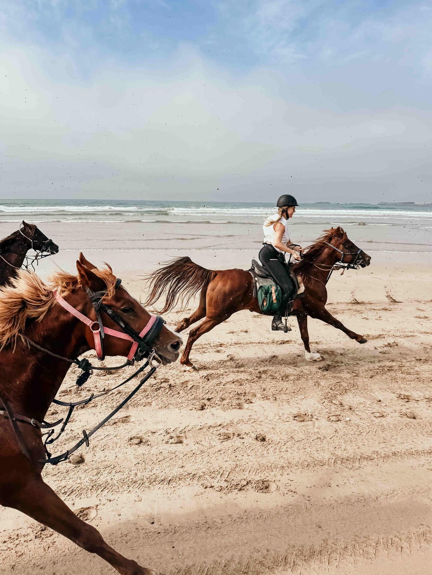 Horse Ride Essaouira Beach – 1 to 2 Hours Sunset or Morning