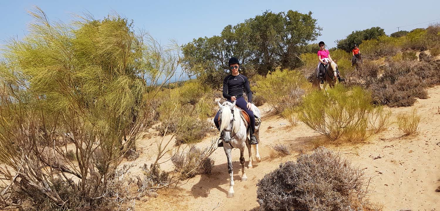 Essaouira Horse Ride – 1-2 Hour Coastal & Argan Forest Escape